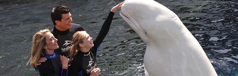 Family Interacting With a Marine Mammal